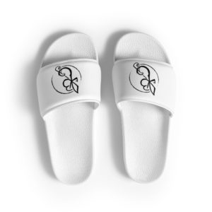 slides
